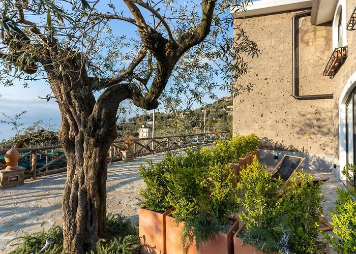 Maison Bon Bon Guest house Sorrento