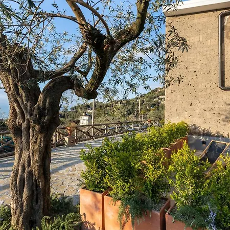 Maison Bon Bon Guest house Sorrento